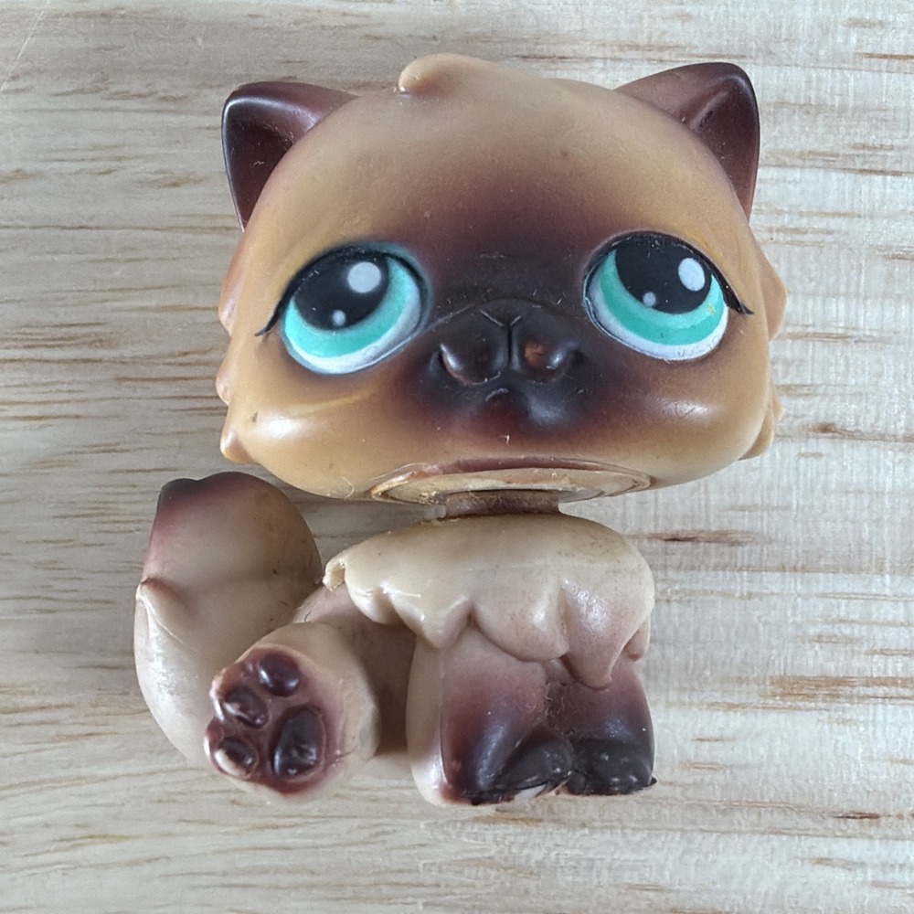 Littlest Pet Shop Persian Cat Brown #22 Aqua Eyes LPS Hasbro